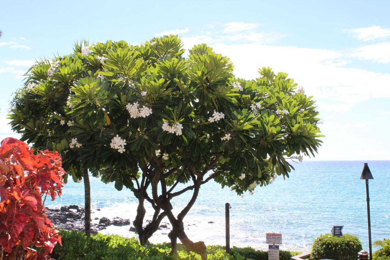 Kuleana Resort 618 Lahaina Zewnętrze zdjęcie
